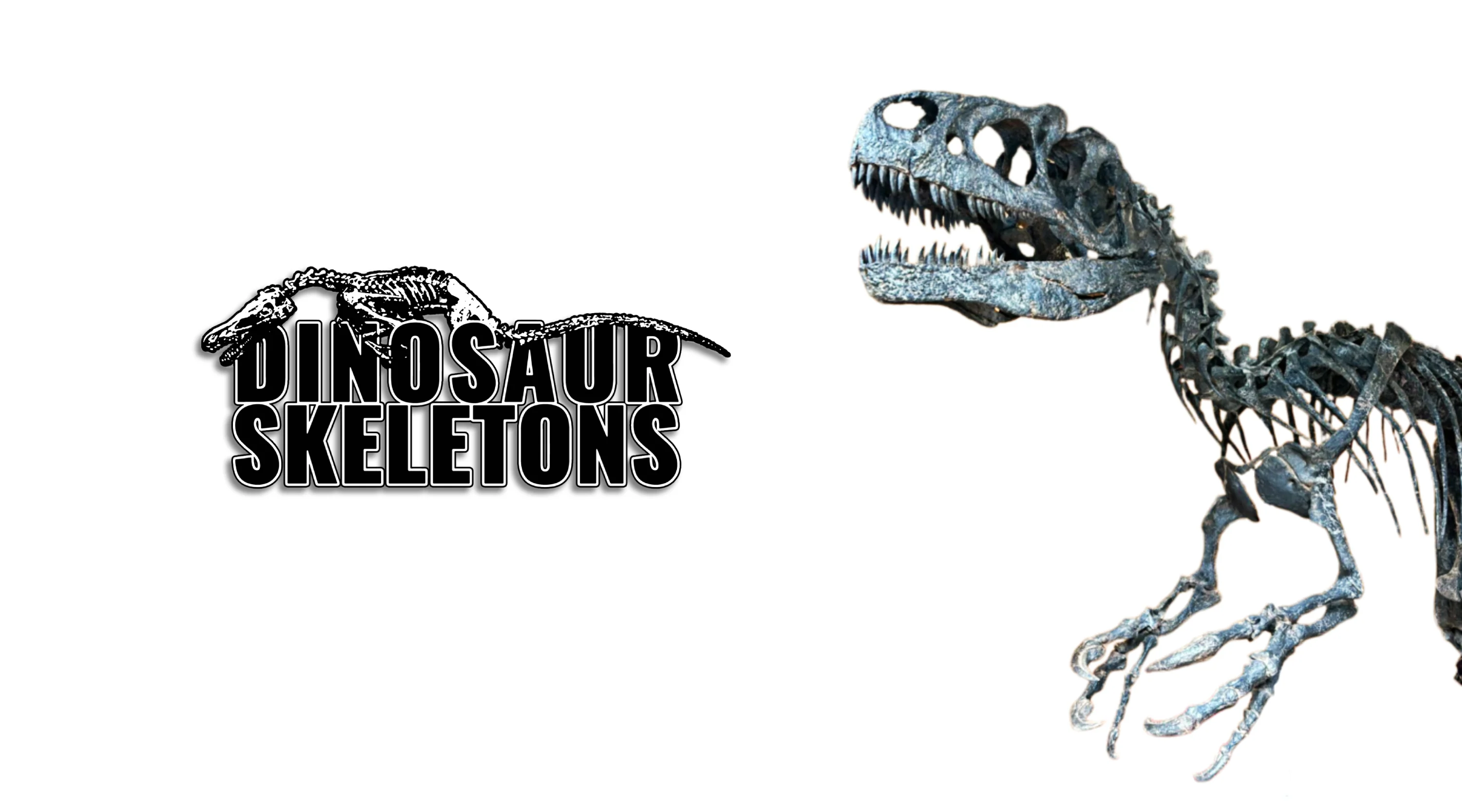Bring Prehistoric Giants Home