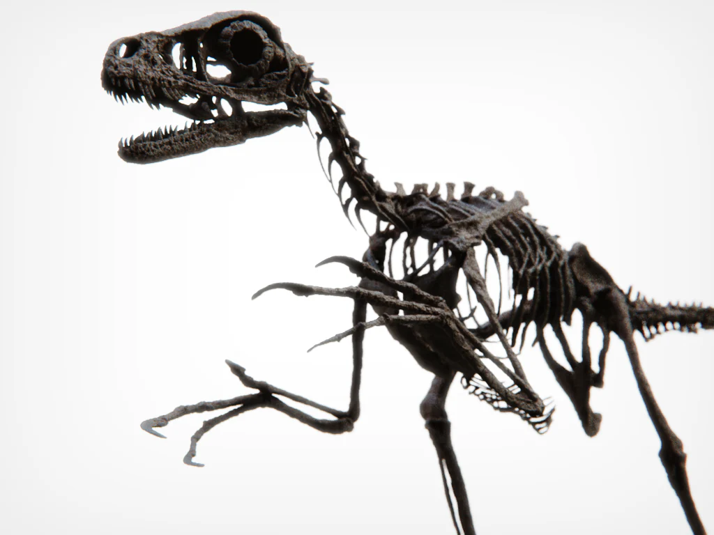 Bambiraptor Skull - Image 9