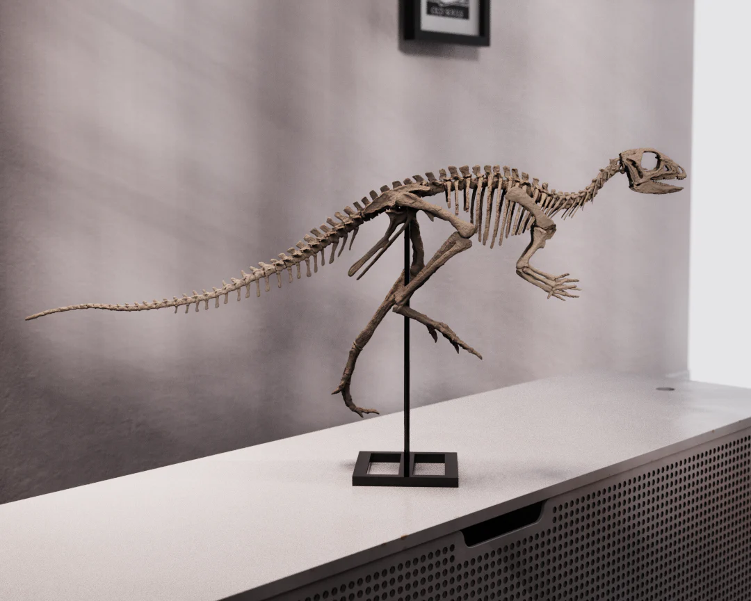 Jeholosaurus - Image 8