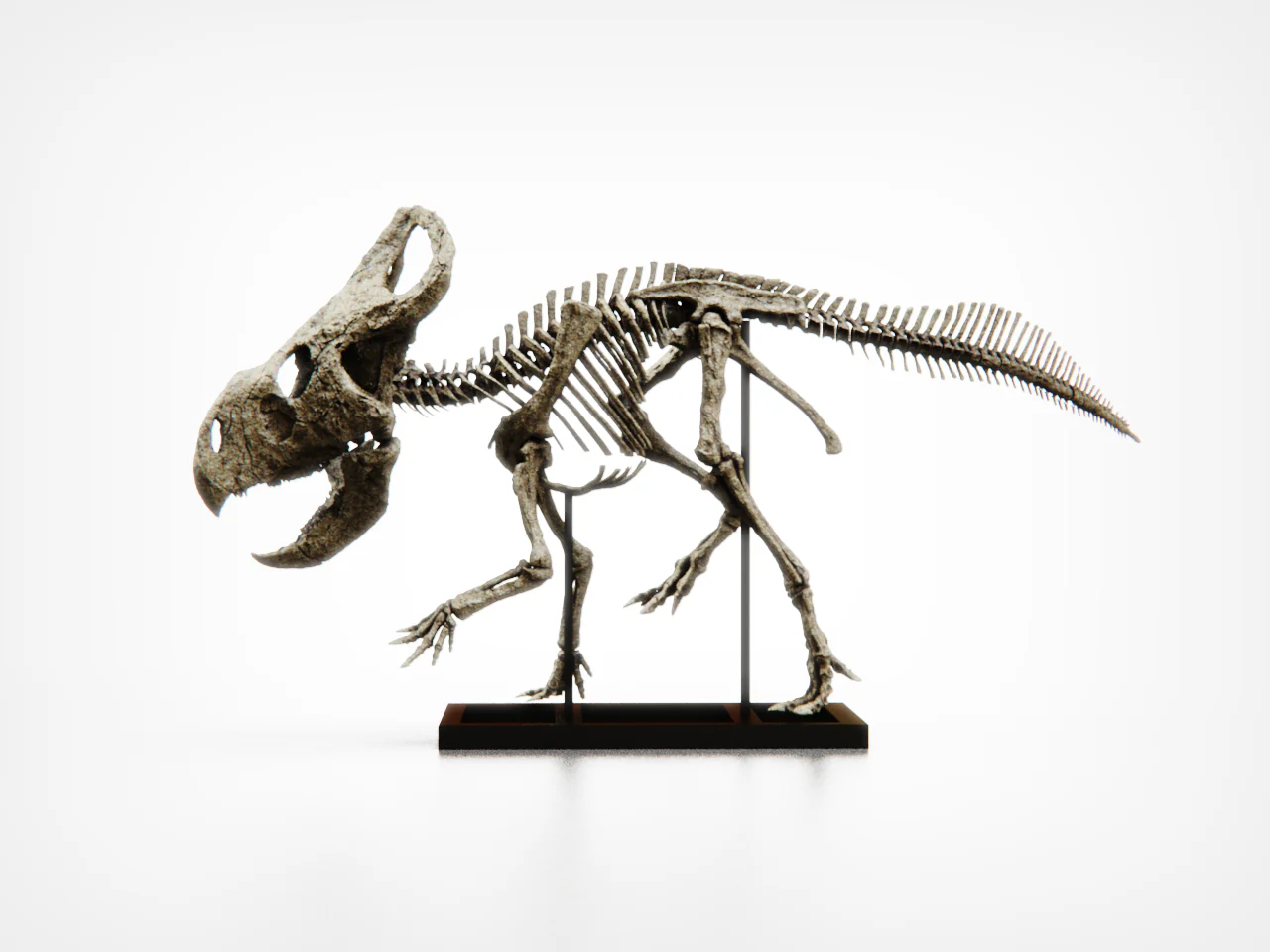 Protoceratops 50cm Scale Model - Image 3