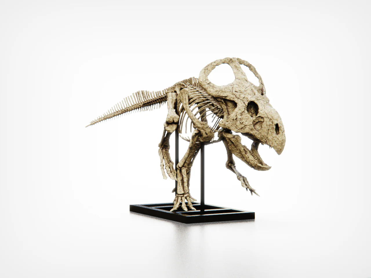 Protoceratops 50cm Scale Model - Image 4
